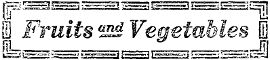 Fruits and Vegetables