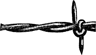 one double barb knotted on two strands of wire