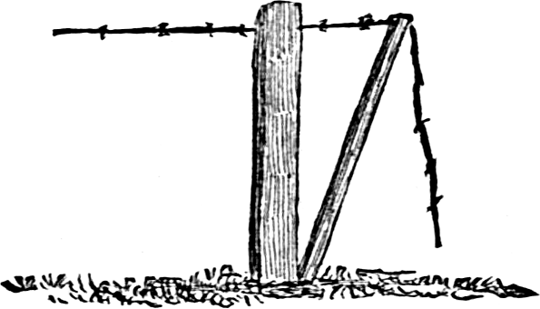 wire stretcher and post