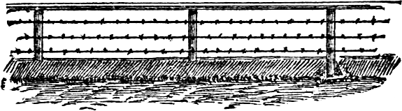 fence with 3 wires and a top rail