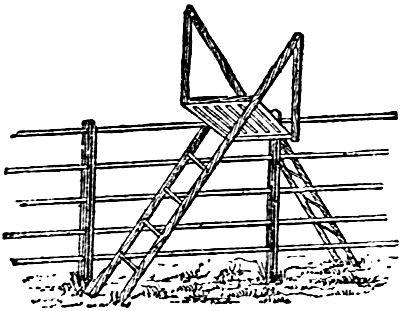 ladder type stile