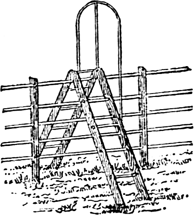 ladder over fence