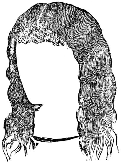 The Project Gutenberg Ebook Of Board Work Or The Art Of Wig
