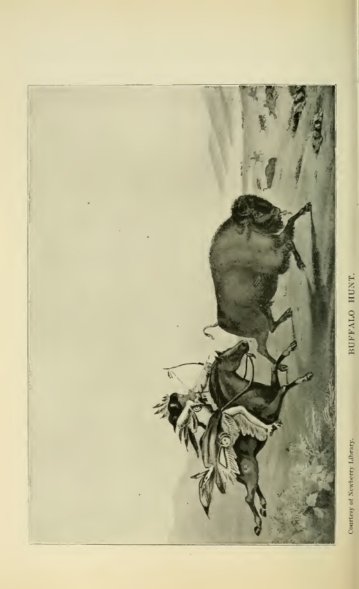 Buffalo Hunt