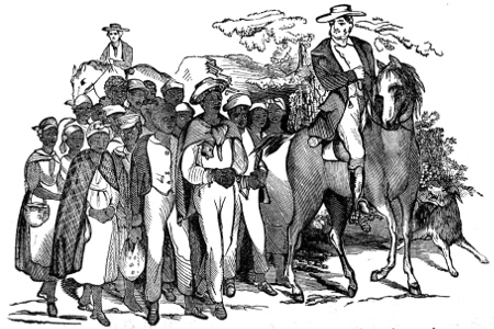 The slave-trader Walker and the author driving a gang of
slaves to the southern market