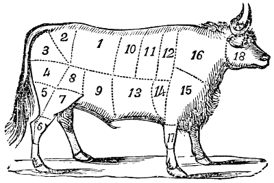 Cow marked into sections of beef