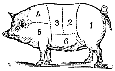 Pig marked into sections of pork