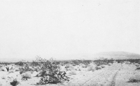 A DESERT ROAD