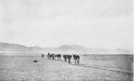 A PACK-TRAIN CROSSING A DRY LAKE