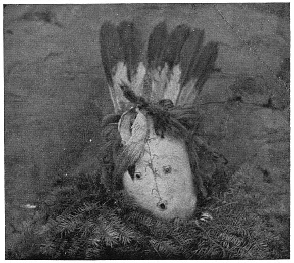 Fig. 27. Mask of Hasts�yalti.