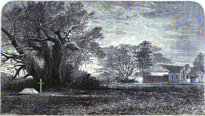 The Project Gutenberg Ebook Of The Boy Travellers On The - 