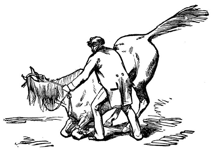 The Project Gutenberg eBook of Haney's Art of Training Animals