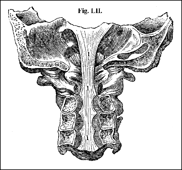 Fig. LII.