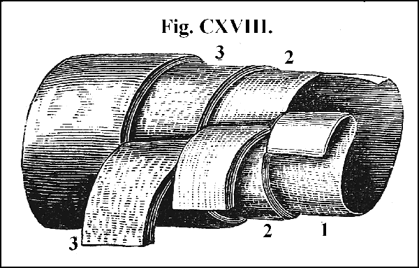 Fig. CXVIII.