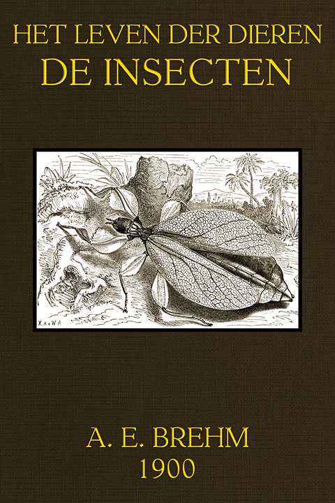 Uitgelezene Het Leven der Dieren: De Insecten DV-61