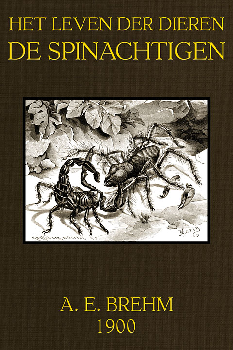 Nieuw ontworpen voorkant.