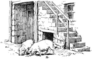 Picture of two pigs at bottom of staircase.