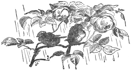 Allegorical wet birds