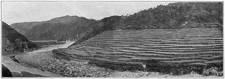 Rice terraces at Bontoc, Mountain Province