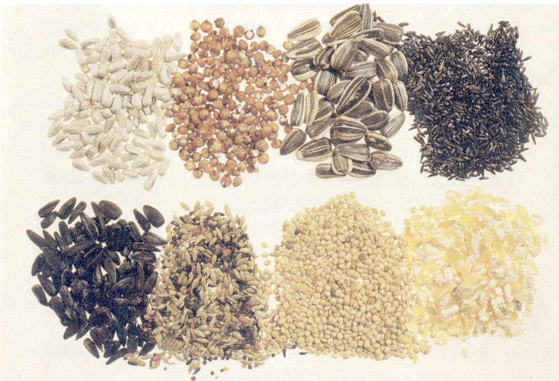 Seed mixtures