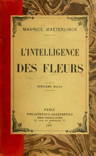 Offrez à votre enfant cette jolie gomme colorée au parfum aléatoire !