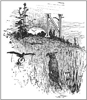 Illustration: FROM THE RISING OF THE SUN UNTIL THE GOING DOWN THEREOF - ILLUSTRATED LETTER ‘N’. 