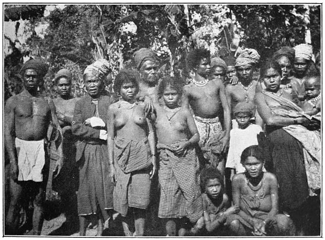 Berg-alfoeren van Moesihoe�.