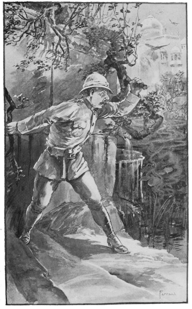 [Image unavailable.]