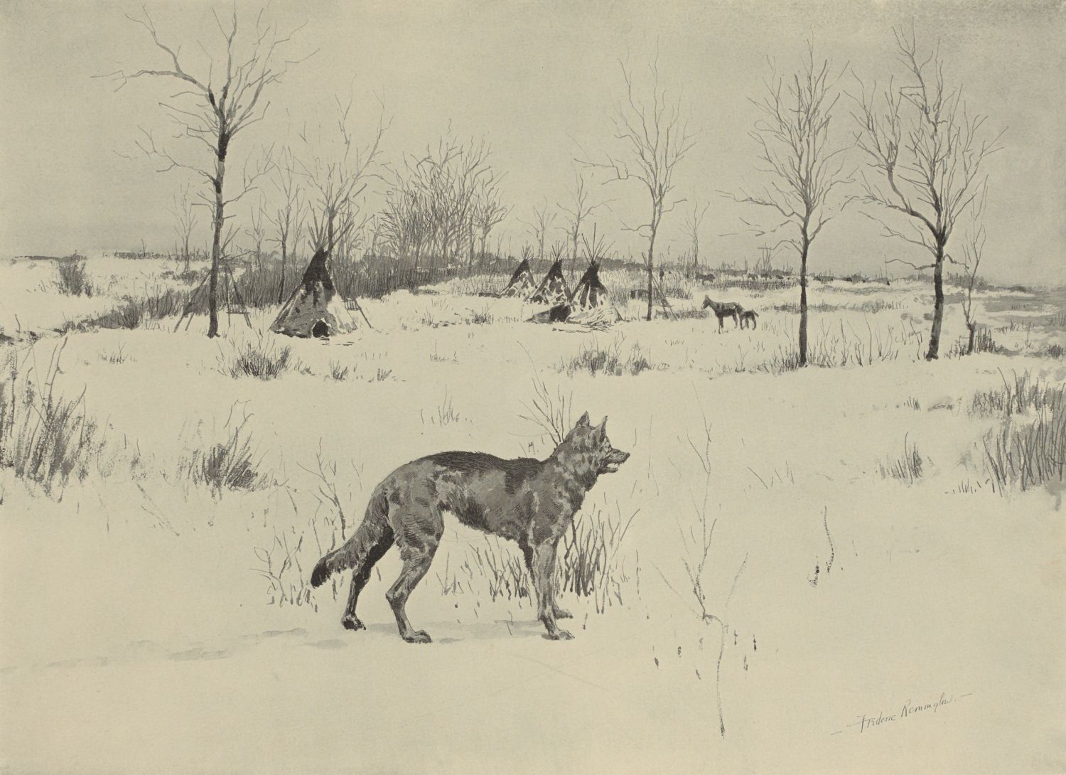 [Image unavailable.]