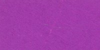 XI_63___Violet-Purple