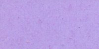 XXV_61′_d_Light_Lavender-Violet