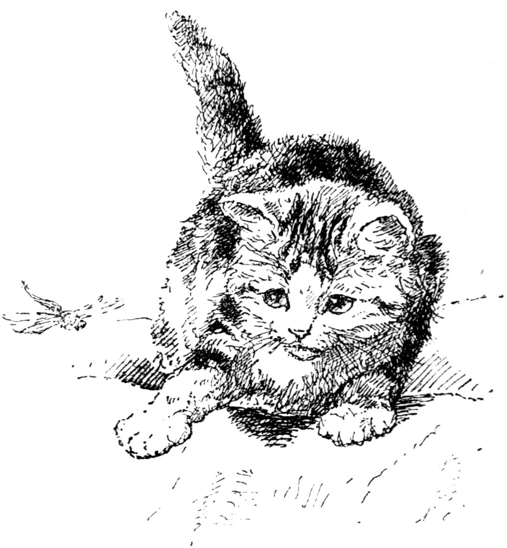 [Kitten by Madame Ronner]