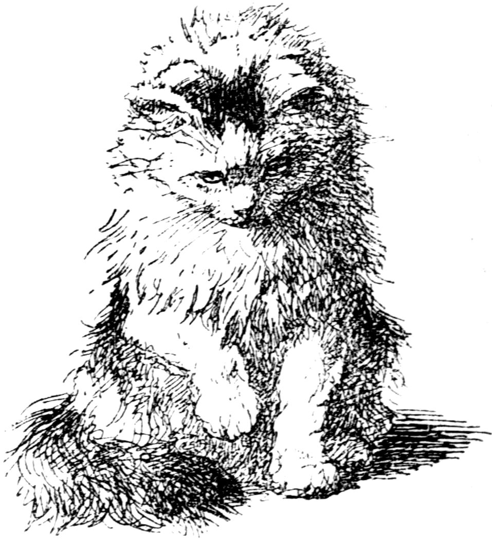 [Cat by Madame Ronner]