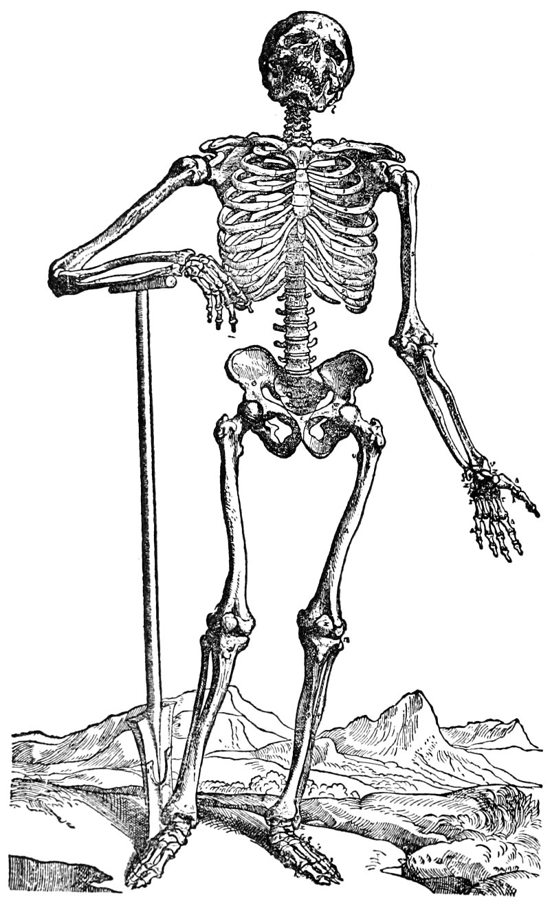 The Illustrations from the Works of Andreas Vesalius of Brussels by J.B.  Saunders | Goodreads