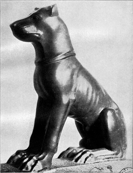 Achtung Böser Hund 20 x 30 cm Holz-Schild 8 mm Geschenk Hunde-Besitzer Lustig