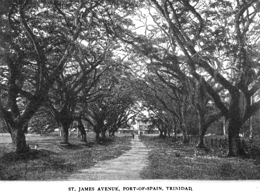 St. James Avenue, Port-of-spain, Trinidad. 