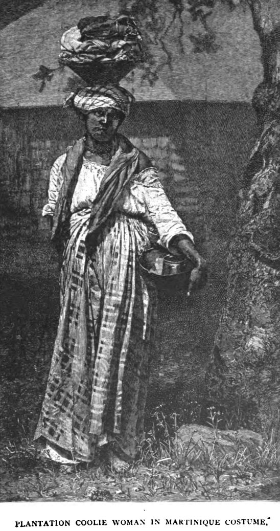 Plantation Coolie Woman in Martinique Costume. 