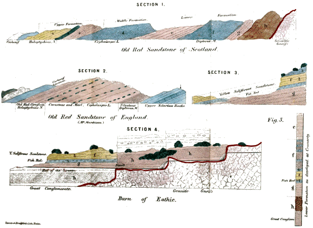 Sections