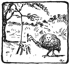 Vangstrik vir Vo�ls.