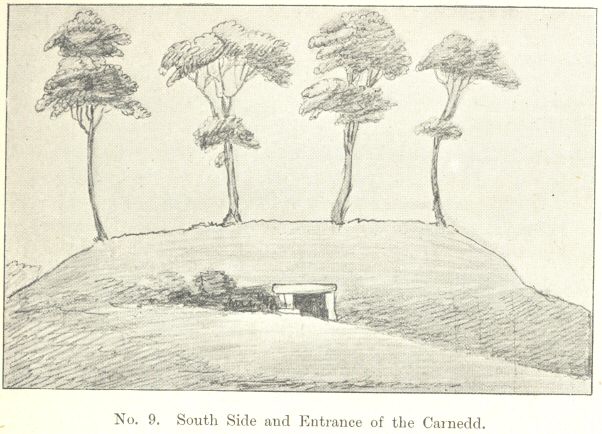 No. 9.  South Side and Entrance of the Carnedd