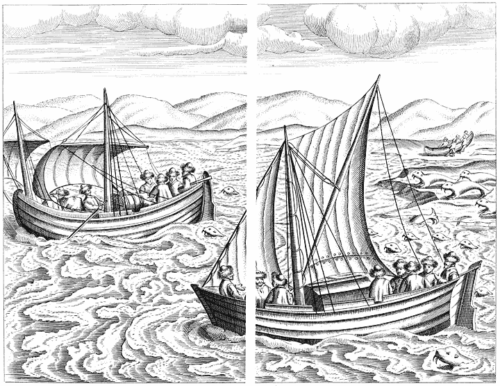 True portraiture of our boats, and how we nearly got into trouble with the seahorses.