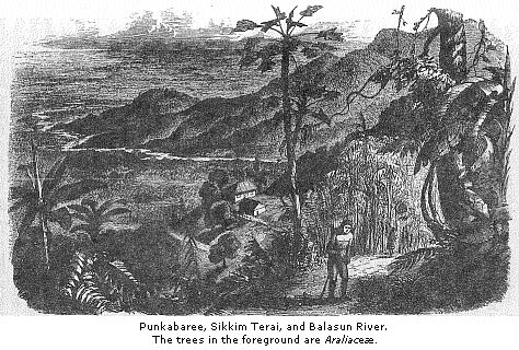 Punkabaree, Sikkim Terai,
and Balasun River.