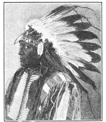 Dentons - American Indian Tribal Semi-Sovereign Status and Adoption
