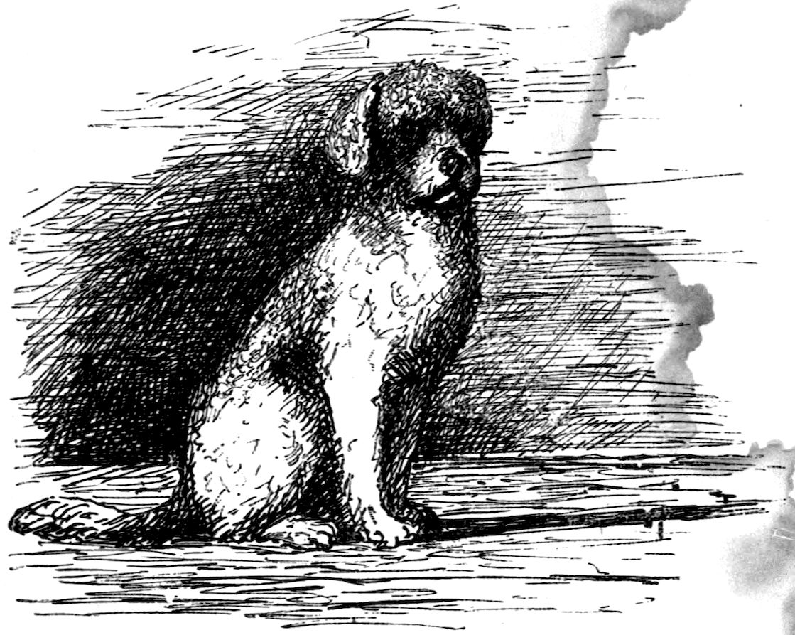 The Project Gutenberg eBook of Théophile Gautier, My Household of Pets, Translated by Susan Coolidge picture