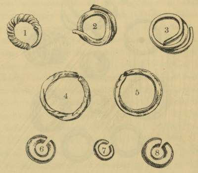 The Project Gutenberg eBook of The Origin of Metallic Currency and Weight  Standards, by William Ridgeway, M.A.