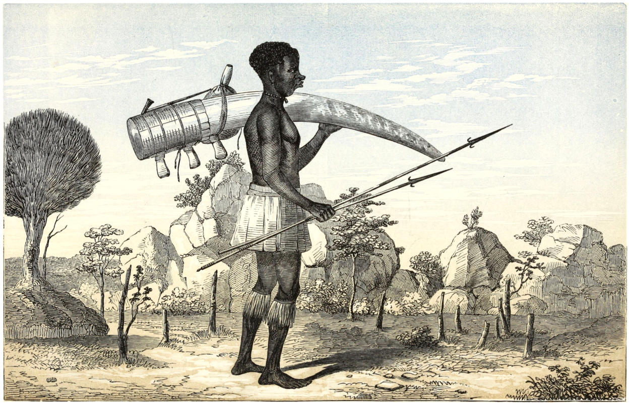 The Lake Regions of Central Africa Vol. I, by Richard F. Burton--A Project  Gutenberg eBook.