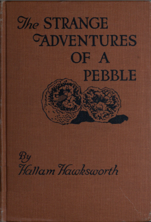 The Strange Adventures of a Pebble, by Hallam Hawksworth—A Project