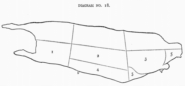 DIAGRAM NO. 18. DIAGRAM NO. 18.