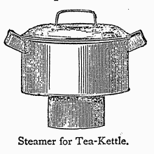 Steamer for Tea-Kettle.
