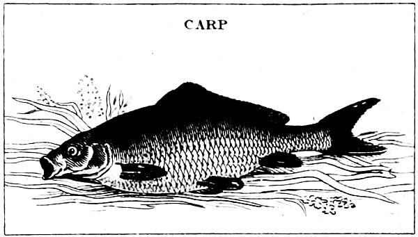 CARP